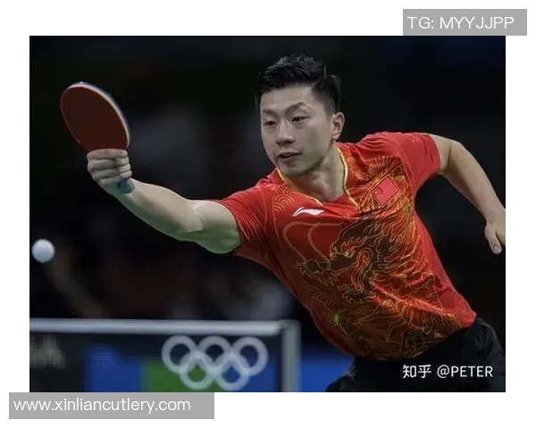 上海羽毛球队实力深度解析与各队对比分析 上海羽毛球队实力深度解析与各队对比分析