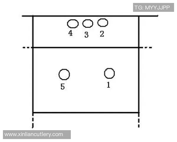南京排球队进攻体系解析与战术创新探讨