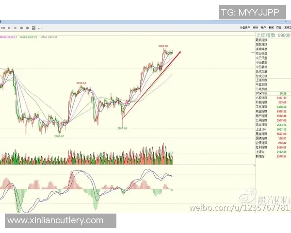 北京街舞队防守策略深度解析与战术运用探讨