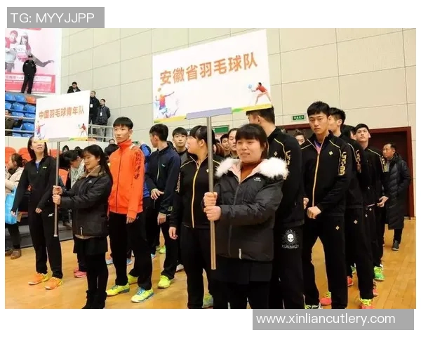 南京羽毛球队反击之路：从困境到崛起的全景解析与未来展望