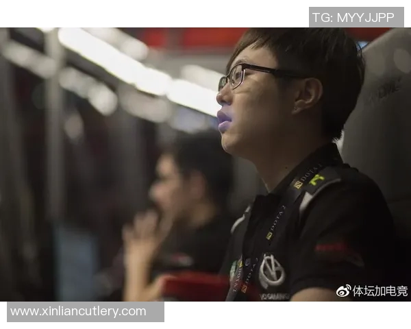 刘磊专访:从新手到职业选手的DOTA2成长之路回顾与展望 刘磊专访:从新手到职业选手的DOTA2成长之路回顾与展望