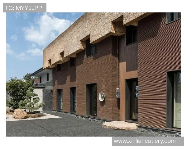 广州街舞队的阵地战解析与热潮背后的文化碰撞与发展