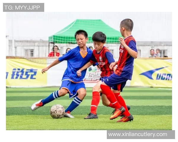 杭州篮球队的拼搏之路：从默默无闻到赛场辉煌的成长历程