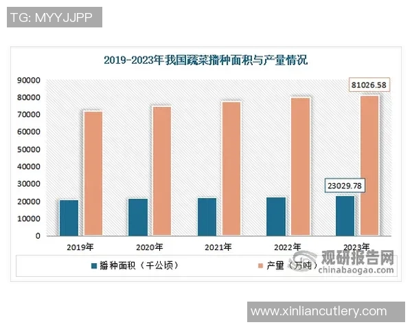 数据分析揭示成都街舞队的表现状态与发展潜力分析
