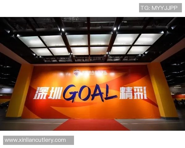 武汉乒乓球队重塑辉煌的反击之路与创新策略探讨