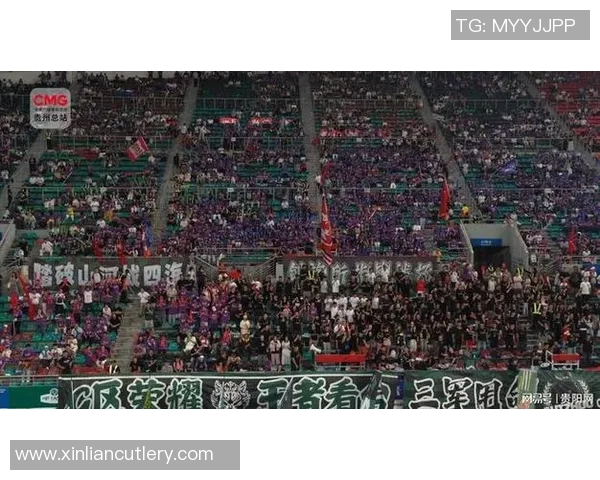 杭州足球队状态变革引发热议球迷期待新篇章的崛起与挑战 杭州足球队状态变革引发热议球迷期待新篇章的崛起与挑战