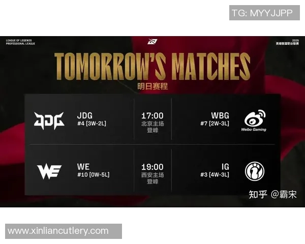 赛后分析：WE与JDG在比赛中的团队配合与战术执行探讨