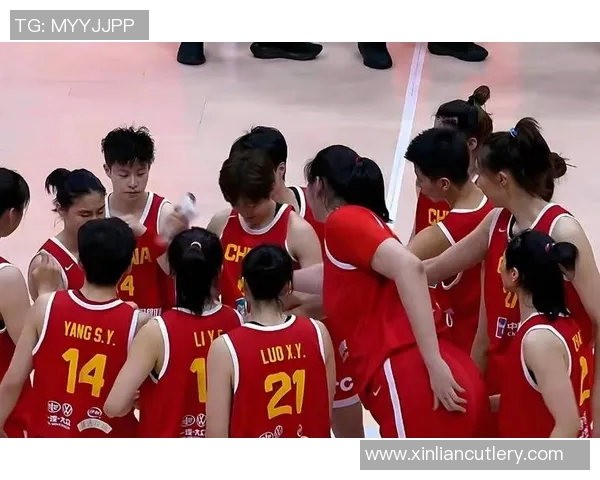 西安排球队灵活性引发热议球迷与专家各执己见探讨未来策略