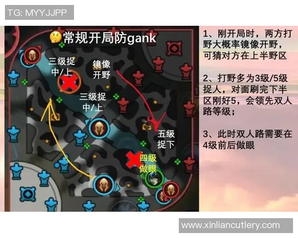 从零起步掌握英雄联盟战术技巧全方位攻略与实战经验分享