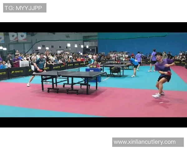 乒乓球的热爱与坚持：陈磊的运动人生深度探讨与分享