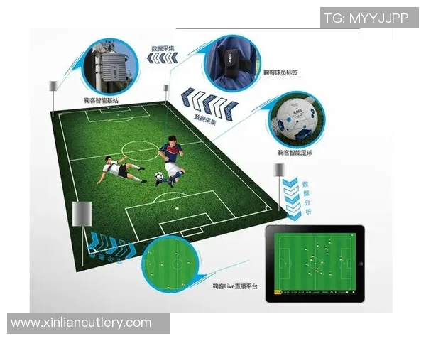 上海足球队灵活性表现的数据分析与战术探讨 上海足球队灵活性表现的数据分析与战术探讨