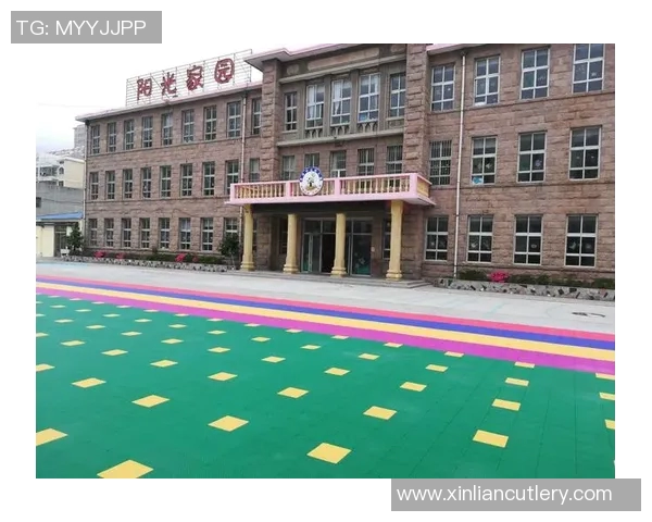 对话杨芳:回顾她的篮球生涯与成长历程的点滴分享