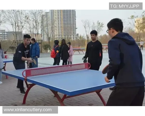 张丽独家分享乒乓球技巧与心得体会助你提升球技的秘密宝典