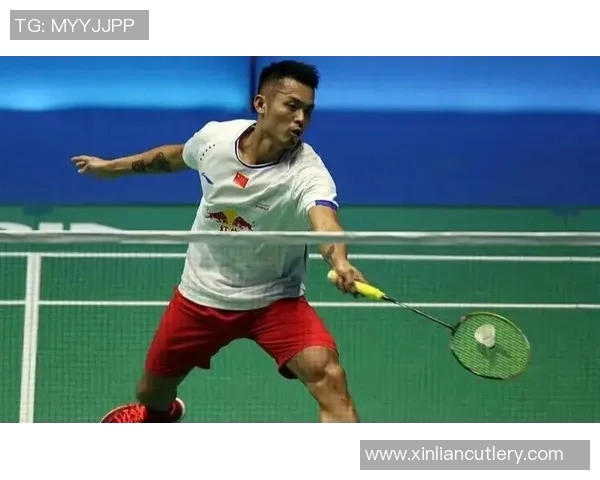 深入分析成都羽毛球队防守战术与技术特点的专业解读