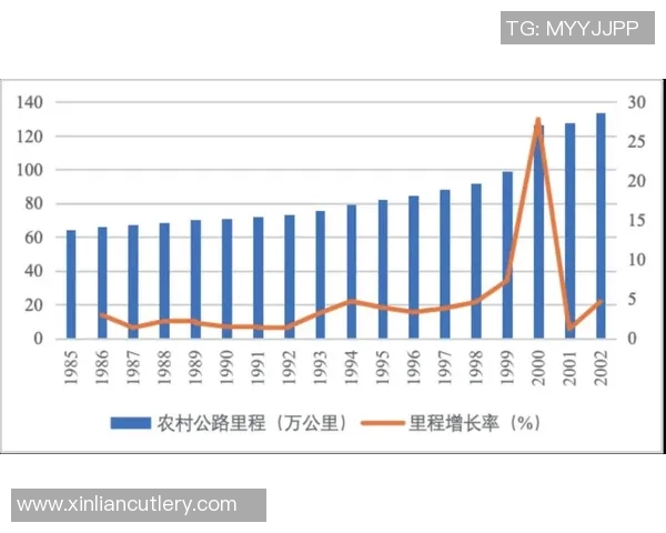 重庆足球队的蜕变与未来展望深度解析