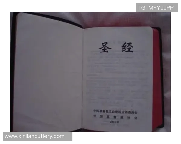 吉布森的传奇人生与创作历程探秘，揭示其对现代文学的深远影响与启示