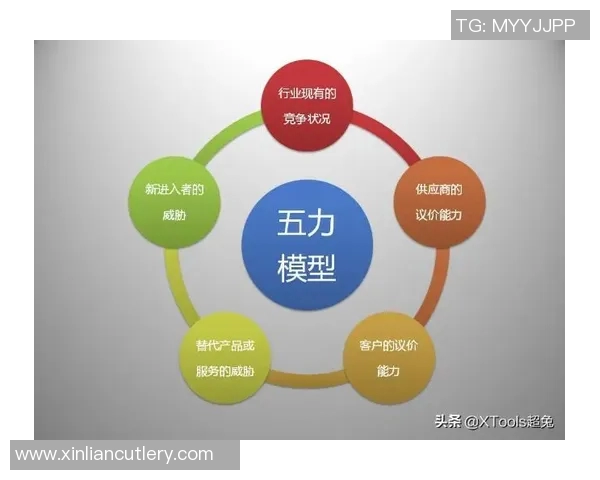 小迈克尔波特的篮球之路与未来发展展望分析