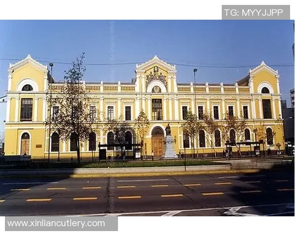 智力大学与巴勒斯坦人之间的文化交流与教育合作探讨