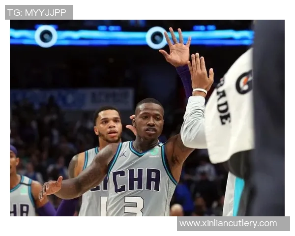 特里罗齐尔的篮球之路从新秀到明星的蜕变与成长历程