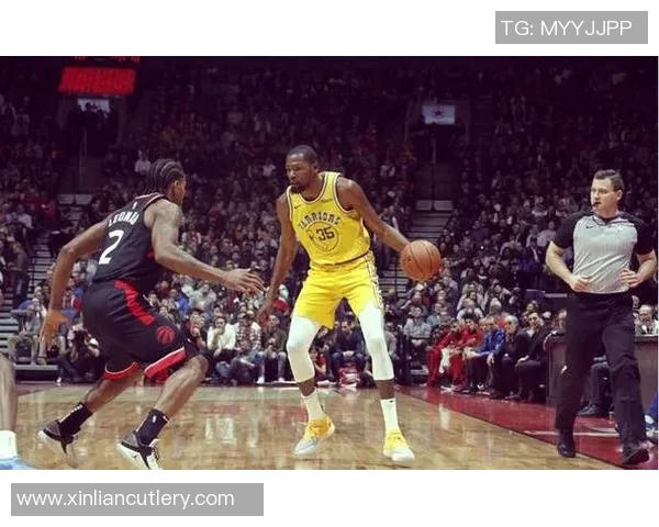 勇士队与猛龙精彩对决回放全程回顾与赛后分析