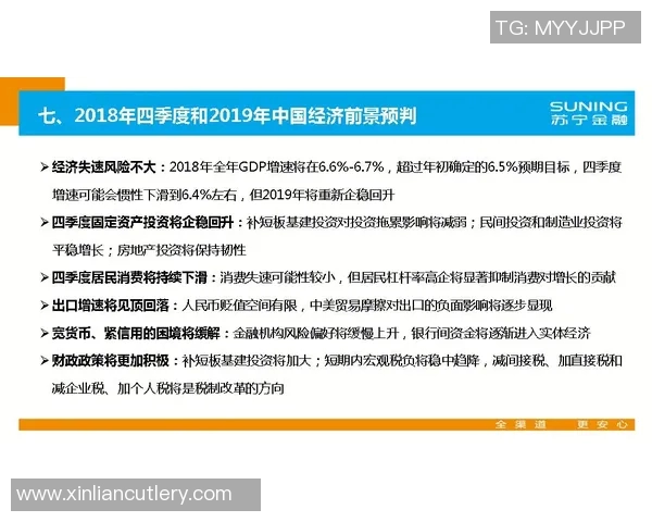 成都滑板队状态分析与表现评估：数据驱动的深度解读与未来展望MBA