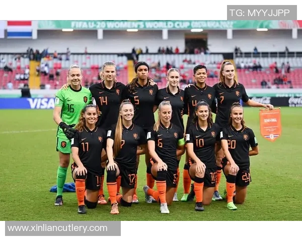 2010年世界杯决赛荷兰对西班牙技术统计全面解析与比赛亮点回顾 2010年世界杯决赛荷兰对西班牙技术统计全面解析与比赛亮点回顾