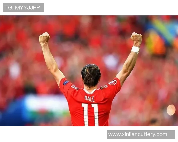 20171111法国与威尔士激战回顾精彩瞬间与比赛分析 20171111法国与威尔士激战回顾精彩瞬间与比赛分析